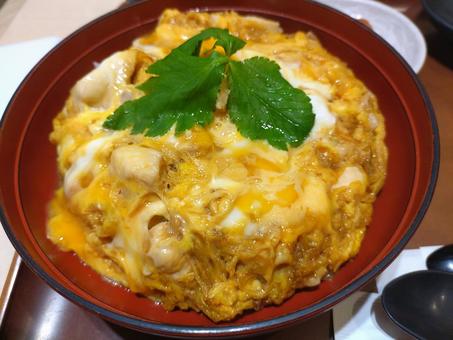 Oyakodon, JPG