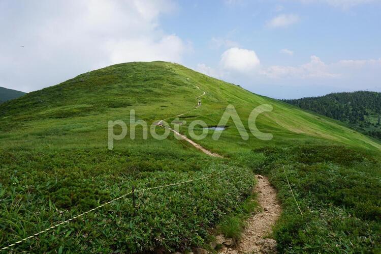 巻機山　山頂付近　最高地点を望む 巻機山,巻機,登山の写真素材
