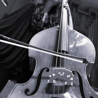 Photo, monochrome, black and white, contrabass, 