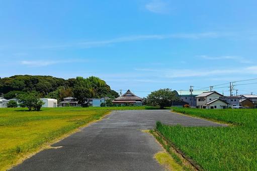 横須賀城⑤ 横須賀城⑤ お城,横須賀城,掛川の写真素材