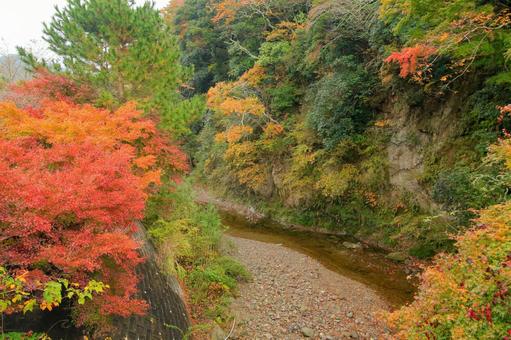 養老渓谷 養老渓谷,粟又の滝,滝の写真素材