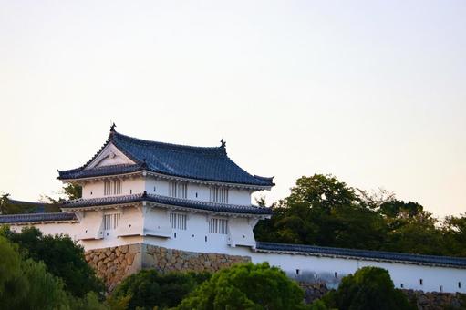 夕方の姫路城 夕方の姫路城 姫路城,姫路市,兵庫県の写真素材
