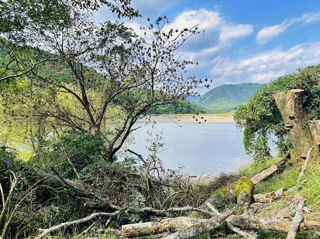呉ダム　秋の公園の写真