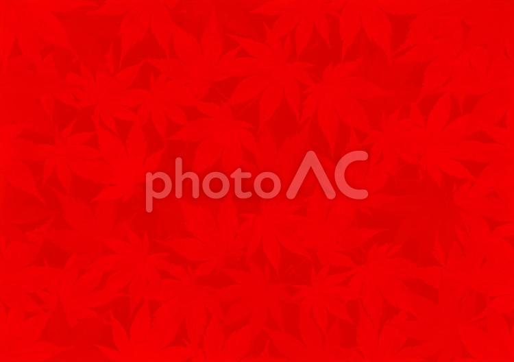 赤ベースの和紙と紅葉の背景 背景,もみじ,秋の写真素材