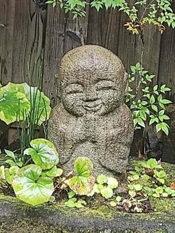 風景 風景の写真