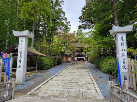 高野山 金剛峯寺 高野山 金剛峯寺 金剛峯寺,高野山,天空都市の写真素材