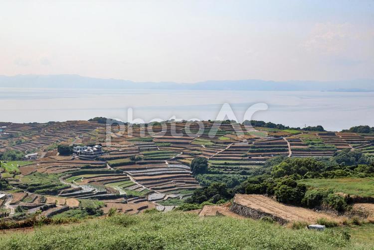 南島原棚田展望台 棚田,展望台,段々畑の写真素材