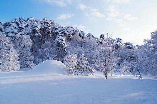 雪景色の朝 雪景色,雪原,冬の写真素材