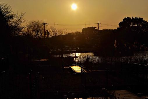 黄金色の冬の夕景 夕景,たそがれ,黄金色の写真素材