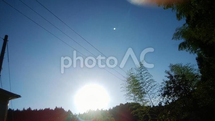 大きな太陽 木,自然,シルエットで映すの写真素材