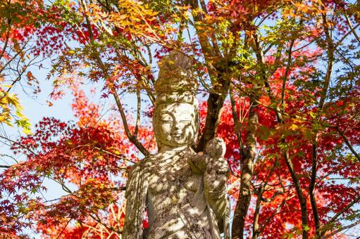 称名寺の紅葉(21) 秋,紅葉,称名寺の写真素材