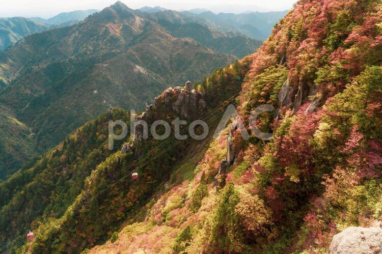 三重県-御在所岳【紅葉】 紅葉,もみじ,山並みの写真素材