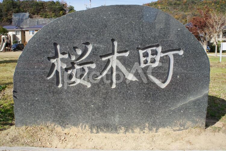 桜木町 桜木町,石,サクラの写真素材