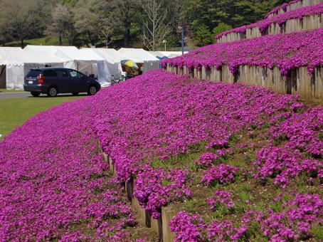 笠間芸術の森公園-10 笠間芸術の森公園-10の写真