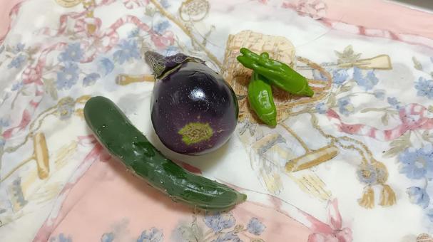 Photo, eggplant, cucumber, shishoshida, 