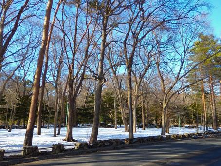 北の初春の道路 北の初春の道路の写真