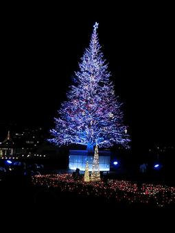 クリスマスツリーのライトアップ もみの木,12月,ライトアップの写真素材