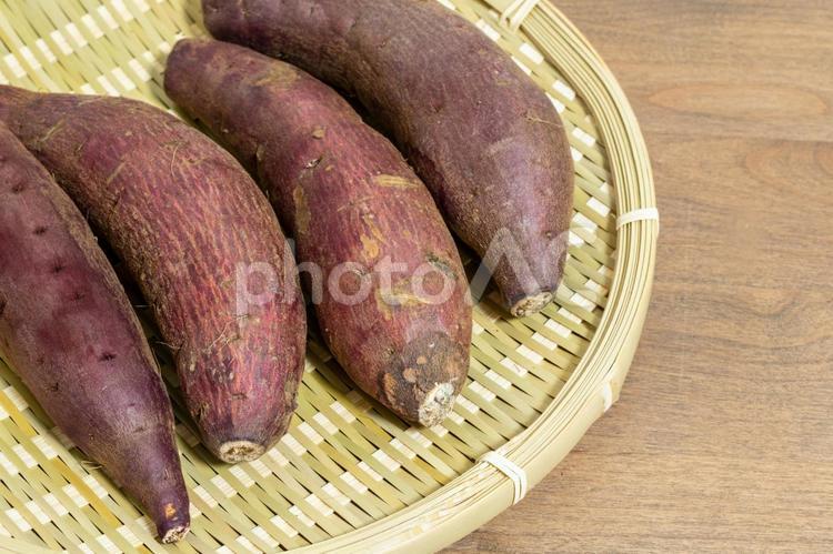 サツマイモ サツマイモ,さつまいも,野菜の写真素材