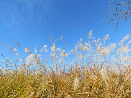 Autumn scenery, JPG