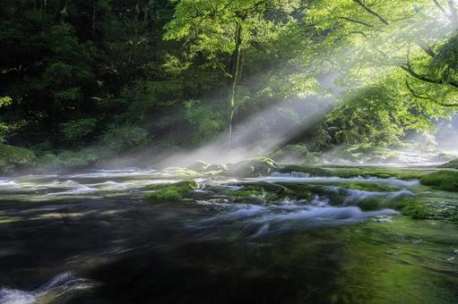 熊本-【菊池渓谷の光芒】 熊本,菊池渓谷,川の写真素材