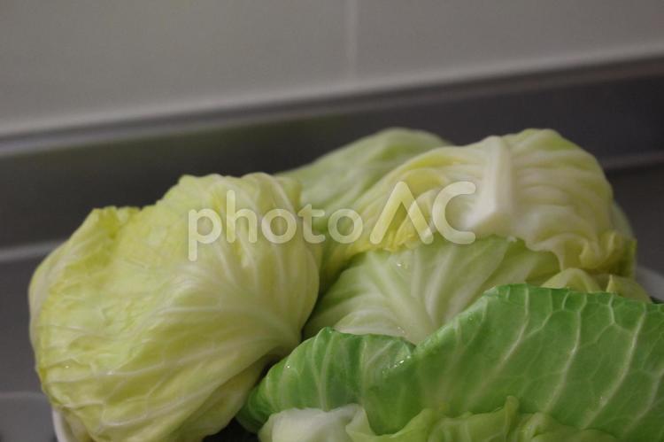 キャベツ キャベツ,蒸した,蒸すの写真素材
