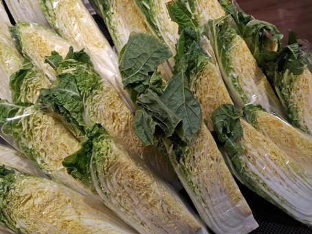 白菜（四分の一カット） 白菜,カット,ハクサイの写真素材