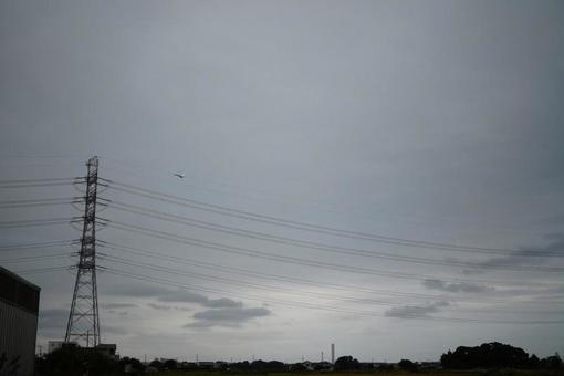 電線とサギと灰色の空の写真