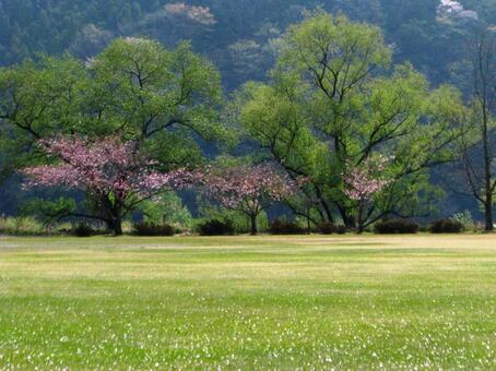 春景色 春景色の写真
