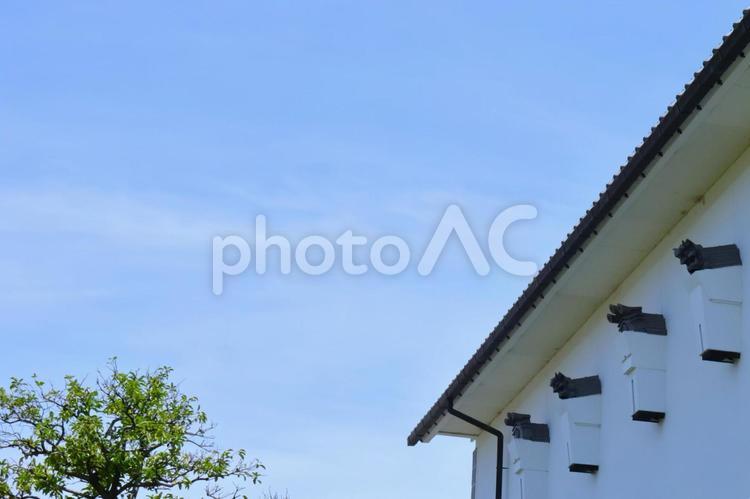 鬼瓦のある蔵風建物と青空と木 鬼瓦のある蔵風建物と青空と木 蔵,青空,空の写真素材