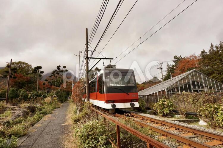 秋の箱根登山鉄道 箱根登山鉄道,箱根登山電車,登山鉄道の写真素材
