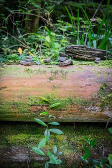 川原の小石の積み上げ 小石,積み上げ,積むの写真素材