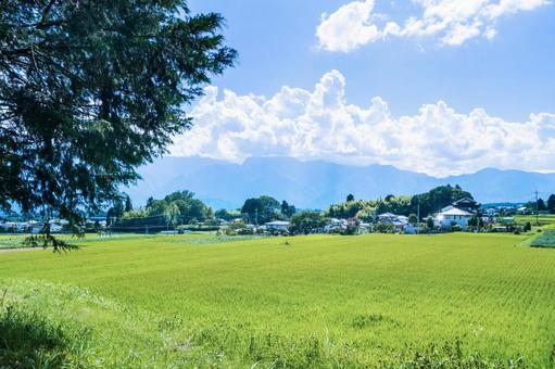 田園2 田園2 水田,農村,田舎の写真素材