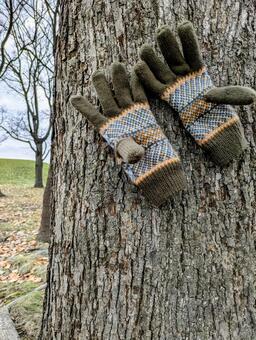 暖冬の手袋ポツリ① 自然,手袋,ファッションの写真素材