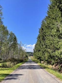 北海道の道路15(幌加内町) 北海道の道路15(幌加内町) 北海道,道路,テキストスペースの写真素材
