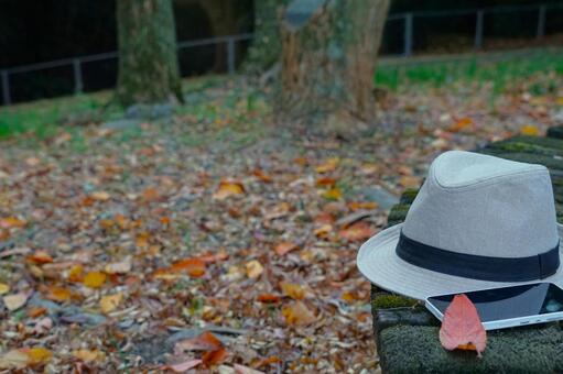落葉の公園にハットとスマホ 秋,ベンチ,帽子の写真素材