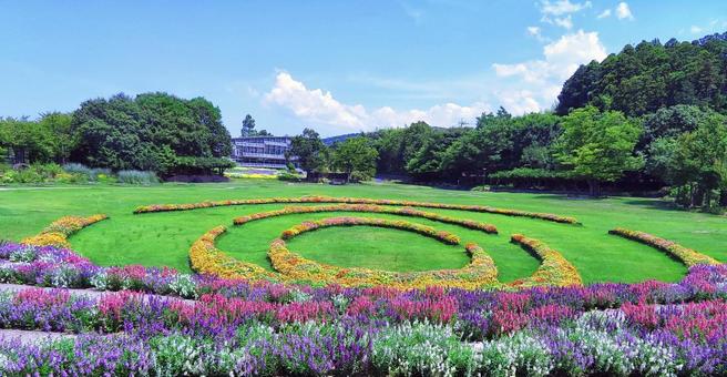 Photo, shimane hana no sato, summer, flower, 