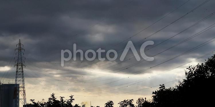 1月の夕空 landscape,sky,雲の写真素材