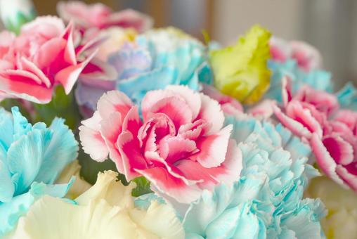 明るいカラーのカーネーション カーネーション,花束,カラフルの写真素材