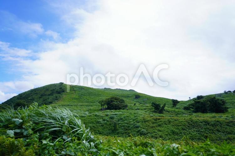 自然の風景 自然,平尾台,風景の写真素材