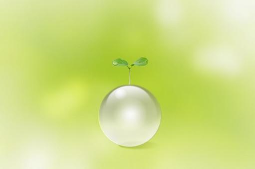 Ecology-renewable young leaves on a green background, JPG Ecology-renewable young leaves on a green background, eco, sdgs, resources, JPG
