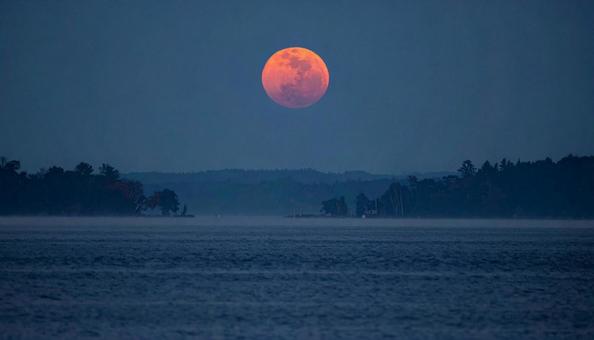Red moon Red moonの写真