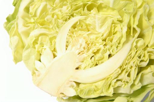 Spring cabbage, spring cabbage, cabbage, cross section, JPG