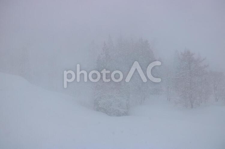 雪が吹き荒れる、吹雪の冬の山の森 冬,雪,吹雪の写真素材