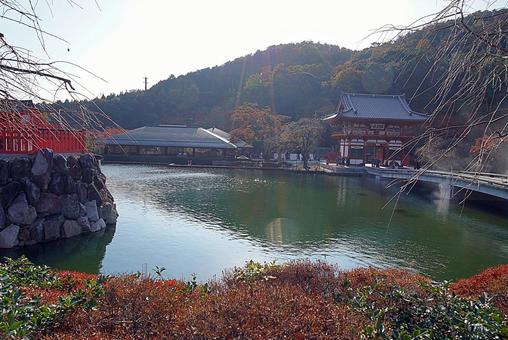 パワースポット　勝尾寺㉑　弁財天　池 パワースポット,勝尾寺,弁財天の写真素材