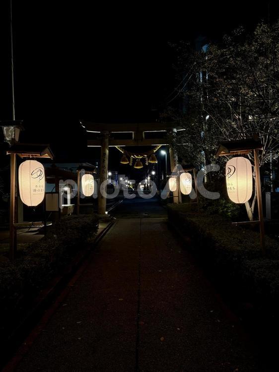 夜のあわら市　薬師神社 あわら市,夜景,庭の写真素材