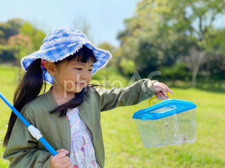 虫取りをする女の子_01 幼稚園児,笑顔,虫取りの写真素材