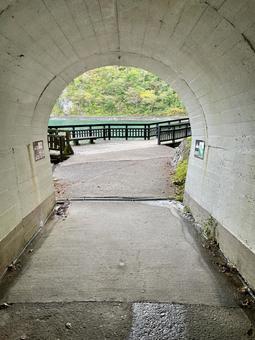 浄土ヶ浜　トンネル 浄土ヶ浜,トンネル,海の写真素材
