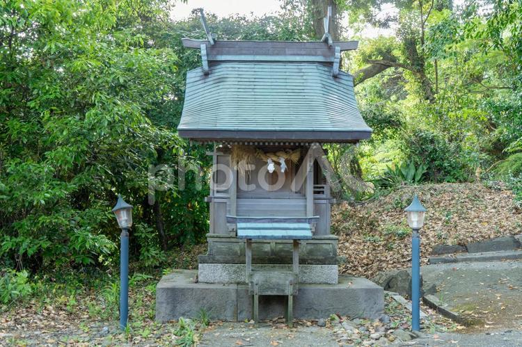 和歌山　須佐神社　子安社 須佐神社,須佐,神社の写真素材