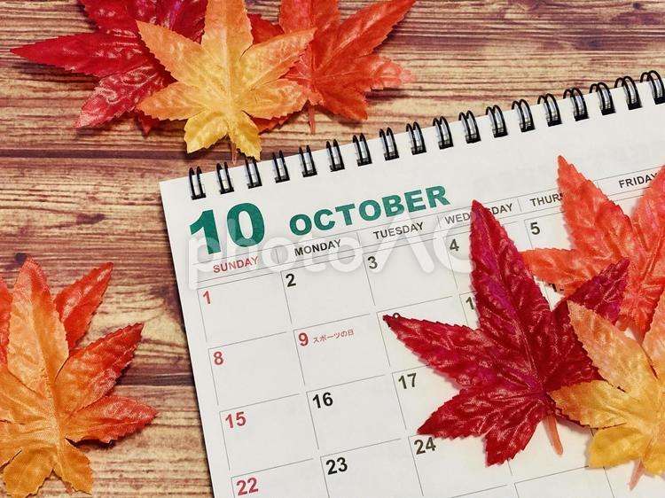 10月カレンダーともみじ 10月,カレンダー,スケジュールの写真素材