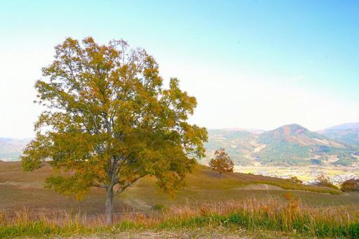 秋の高原③ 高原,秋,草原の写真素材